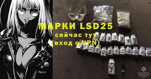 ГАЛЛЮЦИНОГЕННЫЕ ГРИБЫ Козловка