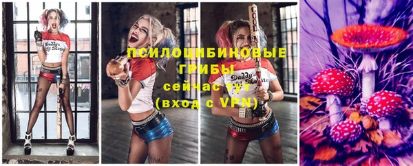 сатива Краснослободск