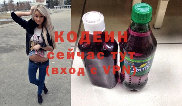 ГАЛЛЮЦИНОГЕННЫЕ ГРИБЫ Козловка