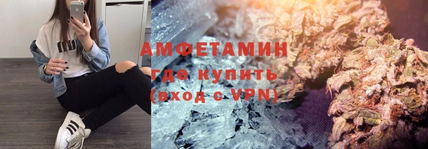 ГАЛЛЮЦИНОГЕННЫЕ ГРИБЫ Козловка
