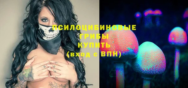 ГАЛЛЮЦИНОГЕННЫЕ ГРИБЫ Козловка