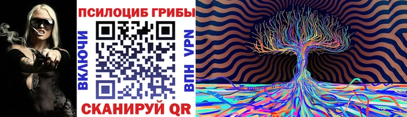 Купить  Абакан  Псилоцибиновые грибы ЛСД 